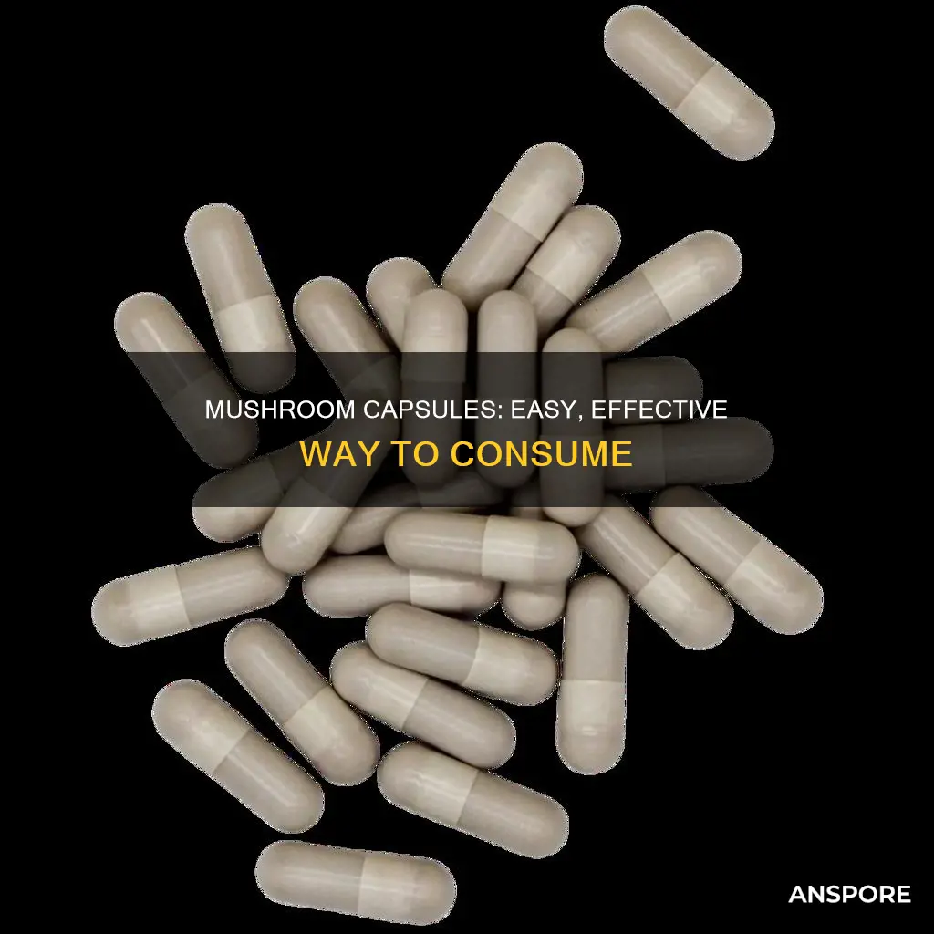 how do you take mushroom capsules