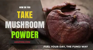 Convenient Ways to Consume Mushroom Powder