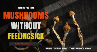 A Smooth Trip: Strategies for Avoiding Sickness with Mushrooms