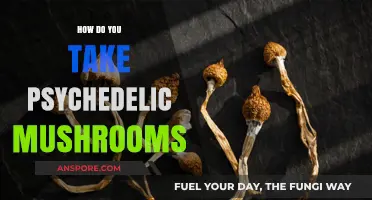 A Beginner's Guide to Taking Psychedelic Mushrooms