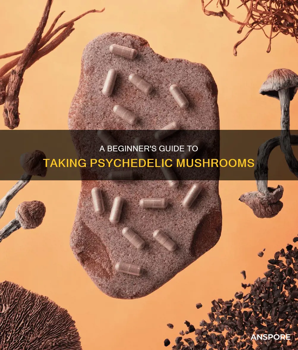 how do you take psychedelic mushrooms
