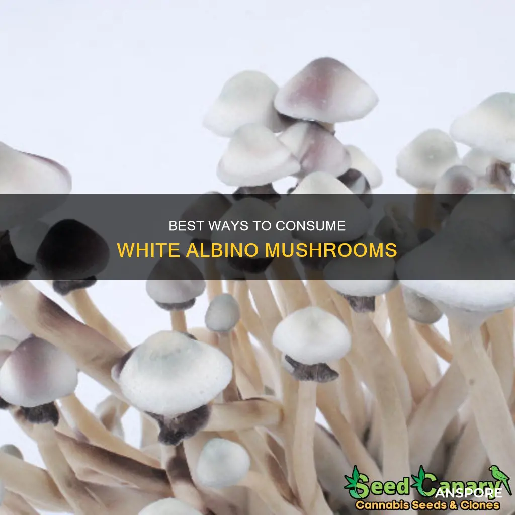 how do you take white albino mushrooms