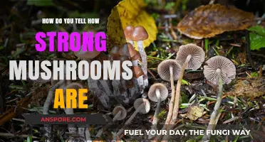Assessing Mushroom Strength: How to Know Before You Consume