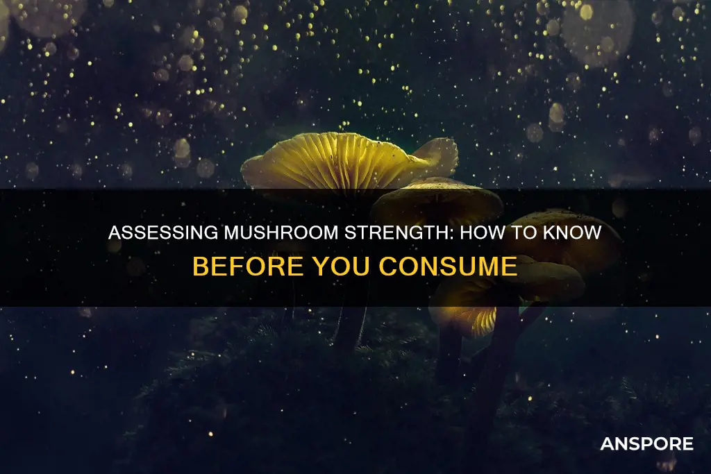 how do you tell how strong mushrooms are