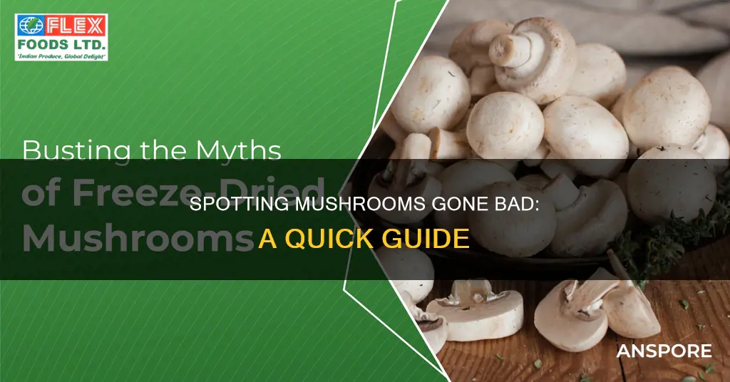 how do you tell if mushrooms are off