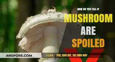 Detecting Spoiled Mushrooms: Signs to Watch Out For