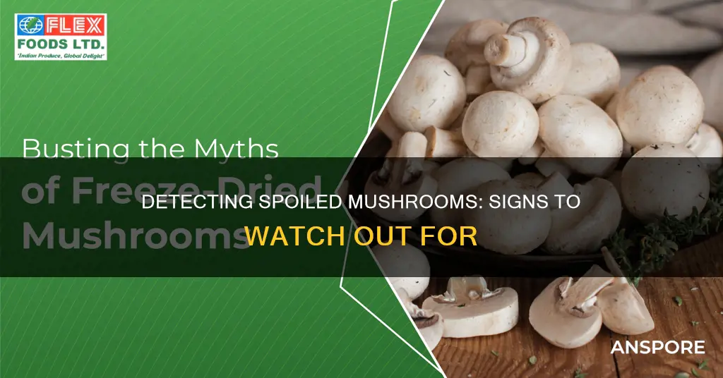 how do you tell if mushrooms are spoiled