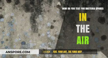 Detecting Airborne Bacterial Spores: Methods and Best Practices Explained