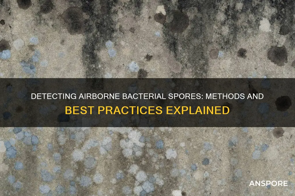 how do you test for bacteria spores in the air