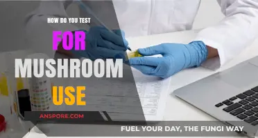 Detecting Mushroom Use: Effective Testing Methods and Key Indicators