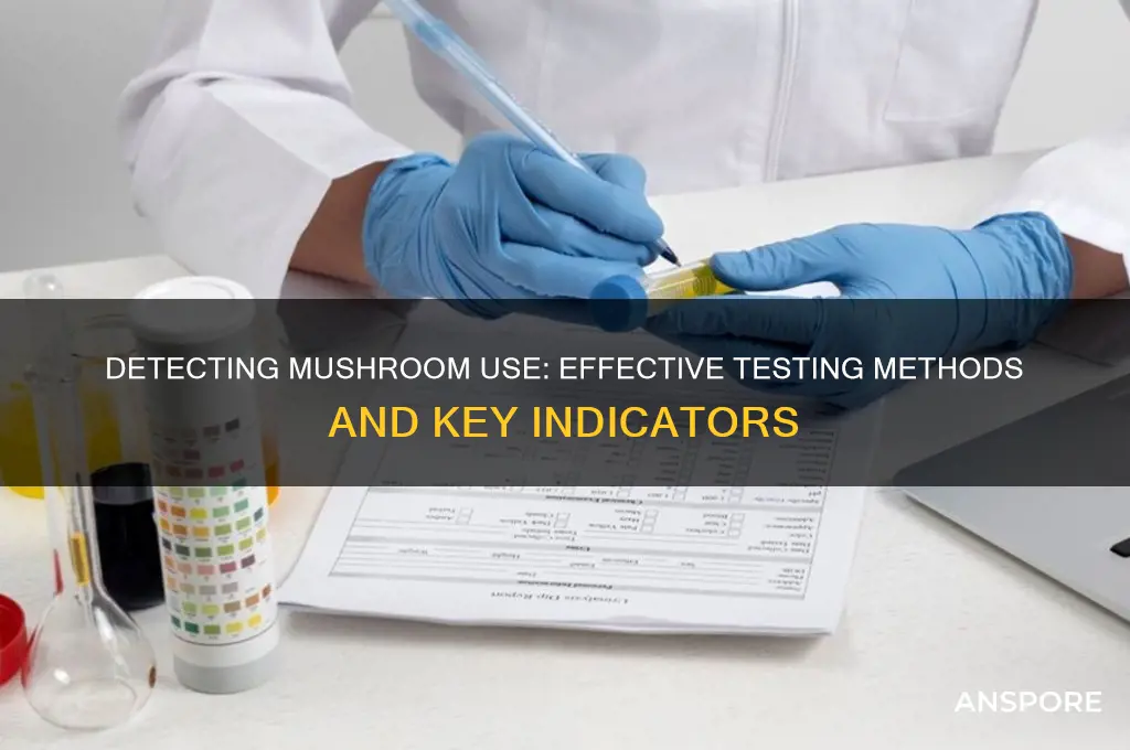 how do you test for mushroom use