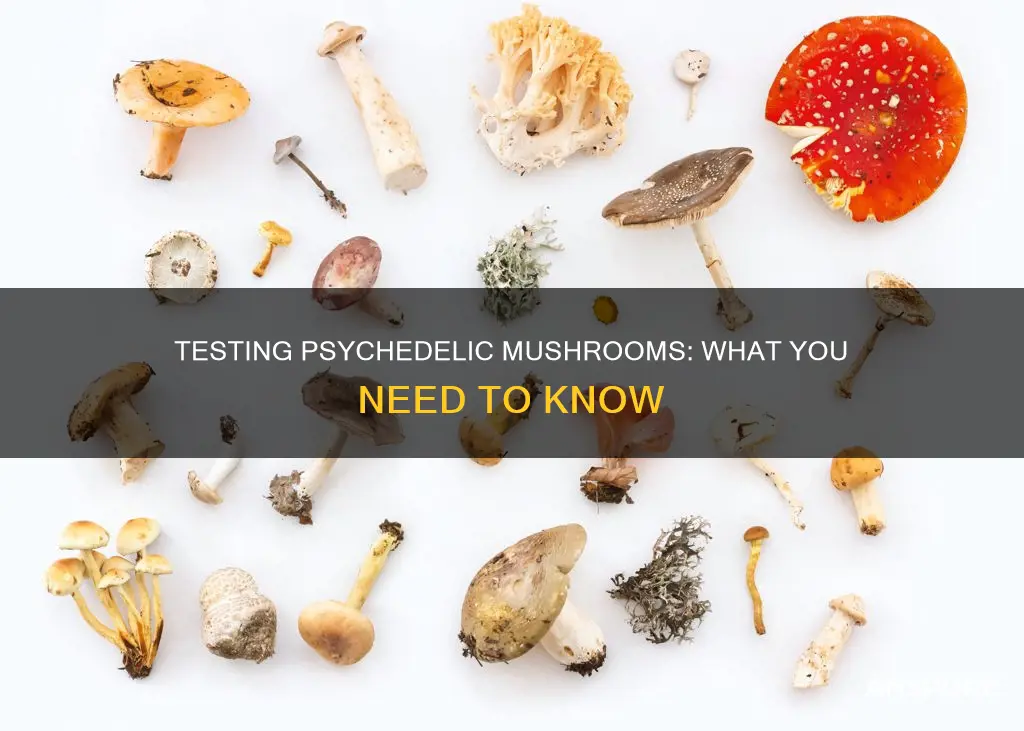 how do you test for psychedelic mushrooms