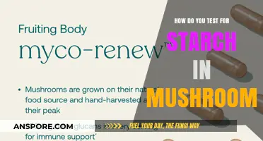 Starch Testing in Mushrooms: Methods and Techniques