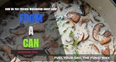 Easy Tips to Thicken Canned Mushroom Gravy Soup Perfectly