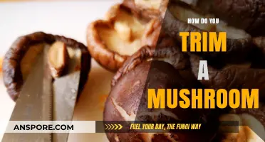 Trimming Mushrooms: A Step-by-Step Guide to Success