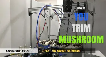 Trimming Mushrooms: Easy Steps for Perfect Fungi