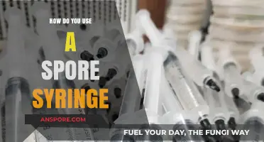 Mastering Spore Syringe Techniques: A Step-by-Step Guide for Beginners