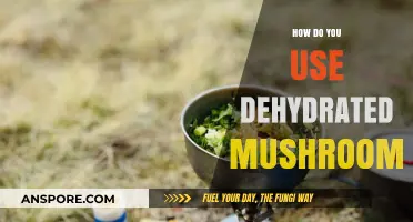 Revitalizing Dishes: Creative Ways to Use Dehydrated Mushrooms in Cooking