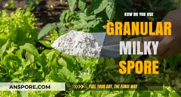 Effective Milky Spore Application: A Granular Guide for Lawn Grub Control