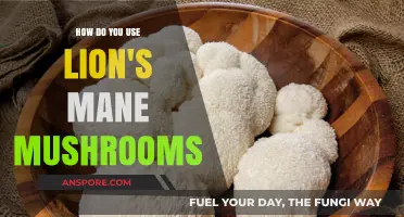 Unlocking Lion's Mane Mushrooms: Benefits, Uses, and Easy Incorporation Tips