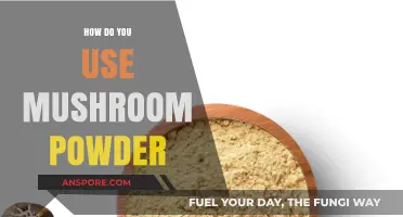 Unlocking Flavor: Creative Ways to Use Mushroom Powder in Cooking