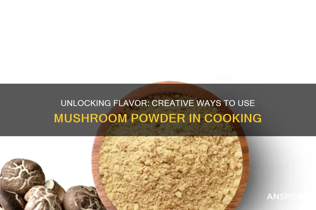 how do you use mushroom powder