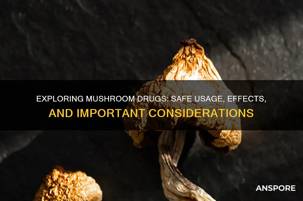 how do you use mushrooms drugs