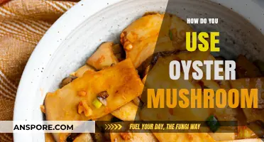 Creative Ways to Cook and Enjoy Oyster Mushrooms at Home