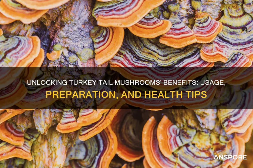 how do you use turkey tail mushrooms