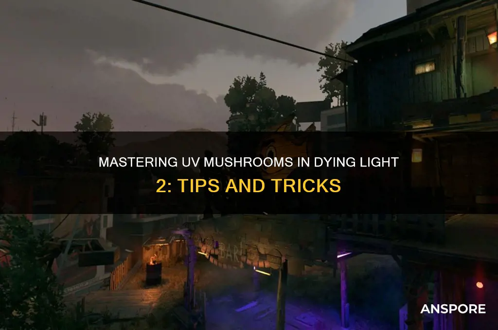 how do you use uv mushrooms dying light 2