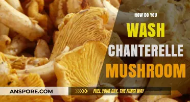 The Best Way to Clean Chanterelle Mushrooms