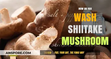 The Ultimate Guide to Washing Shiitake Mushrooms