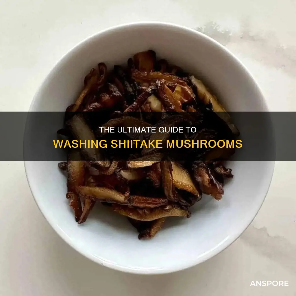 how do you wash shiitake mushrooms