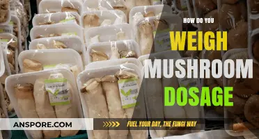 Weighing Mushroom Dosage: A Precise Guide