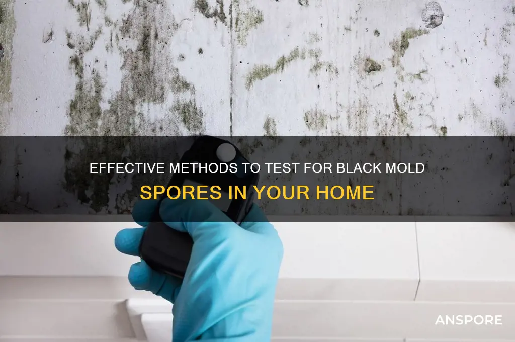 how do yu test fir black mold spores