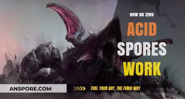 Understanding Zerg Acid Spores: Mechanics, Effects, and Strategic Applications