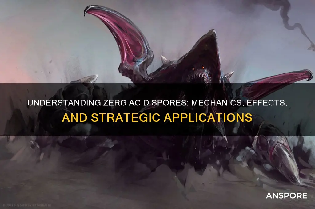 how do zerg acid spores work