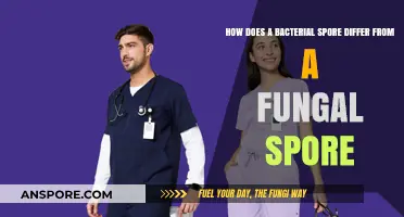 Bacterial vs. Fungal Spores: Key Differences in Structure and Survival