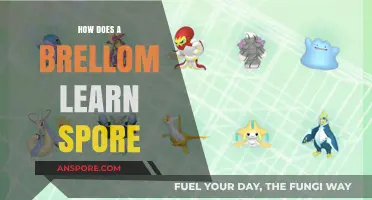 Understanding How Brelloms Master Spore Learning: A Comprehensive Guide