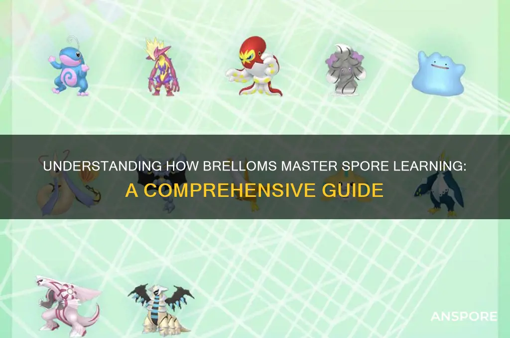 how does a brellom learn spore