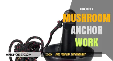 Mushroom Anchors: How Do They Work?