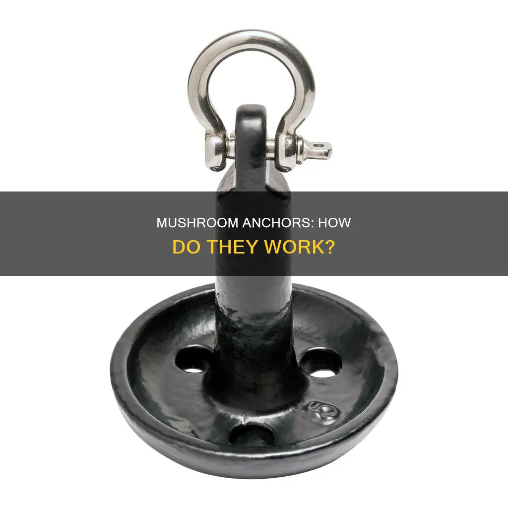 how does a mushroom anchor work