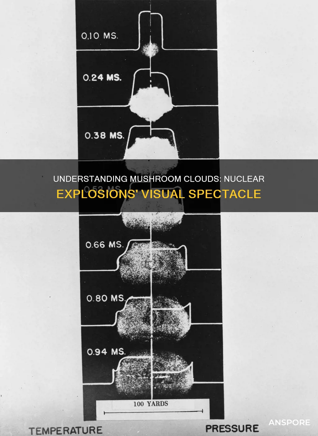 how does a mushroom cloud form