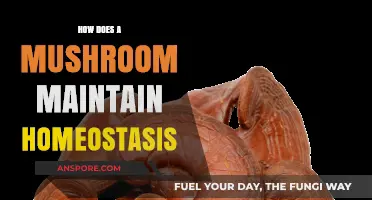 Mushrooms' Intricate Homeostasis: Secrets of Balancing Act
