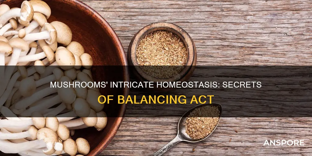 how does a mushroom maintain homeostasis