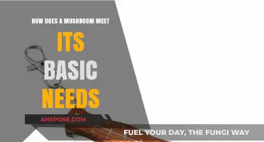 Mushrooms' Basic Needs: Secrets of Nature