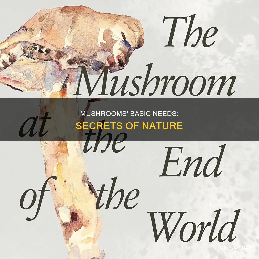 how does a mushroom meet its basic needs