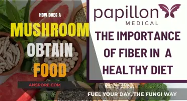 Mushrooms' Unique Way of Eating