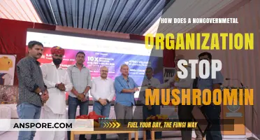 Stopping the Spread: NGO Mushrooming
