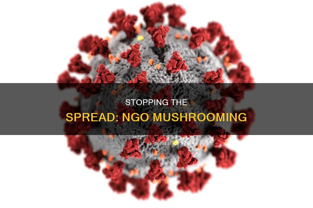 how does a nongovernmetal organization stop mushrooming